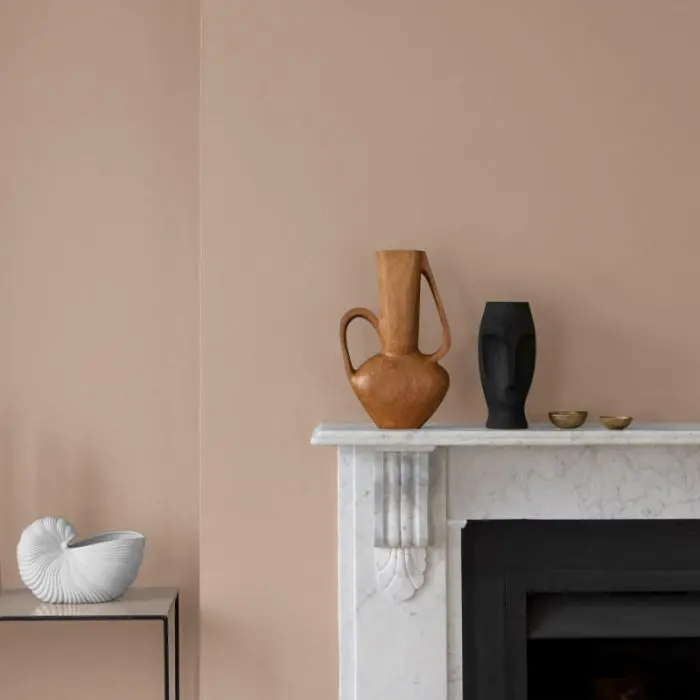 Craig & Rose 1829 Paint - Light Umber 2