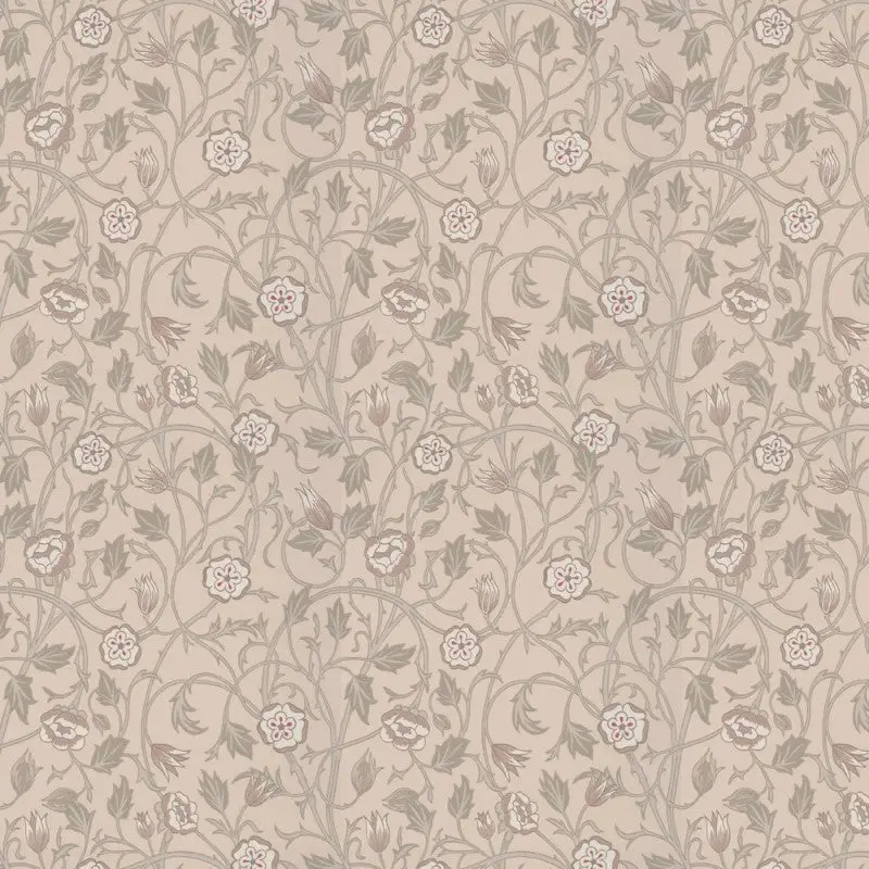 Little Greene May's Tulip Wallpaper Sample - Castell Pink 1