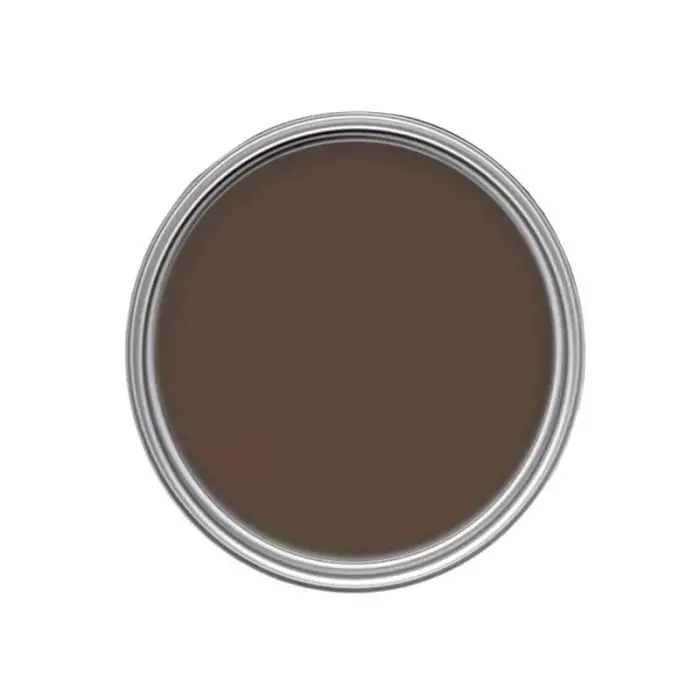 Morris & Co Paint - Blackthorn 1