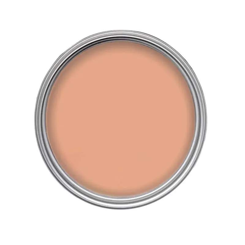 Morris & Co Paint - Spring Thicket Dawn 1