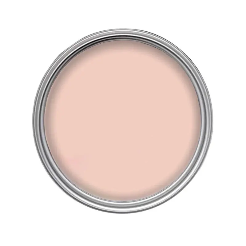 Morris & Co Paint - Sweet Briar 1