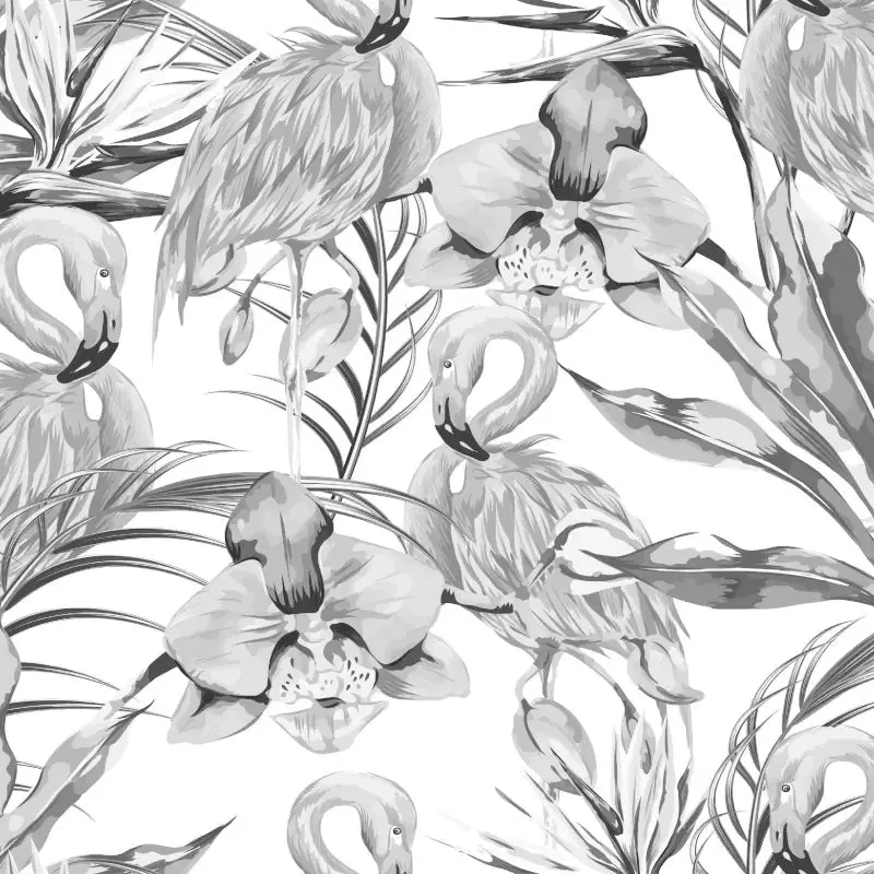Origin Paradise Flamingo Wall Mural Noir 1