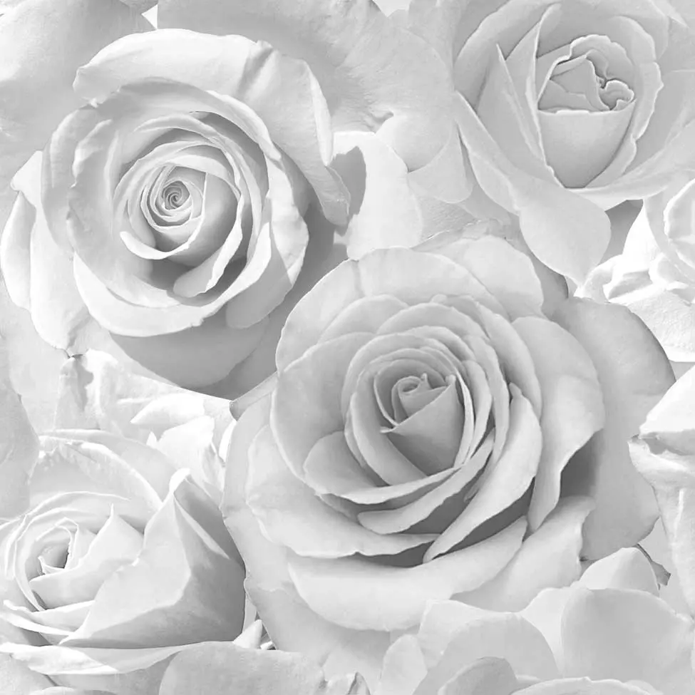 Madison Sparkle Rose Wallpaper 1
