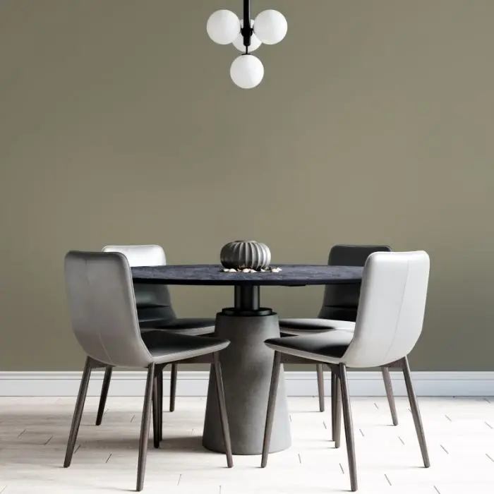 Dco Colour Of The Year - Muted Olive 3