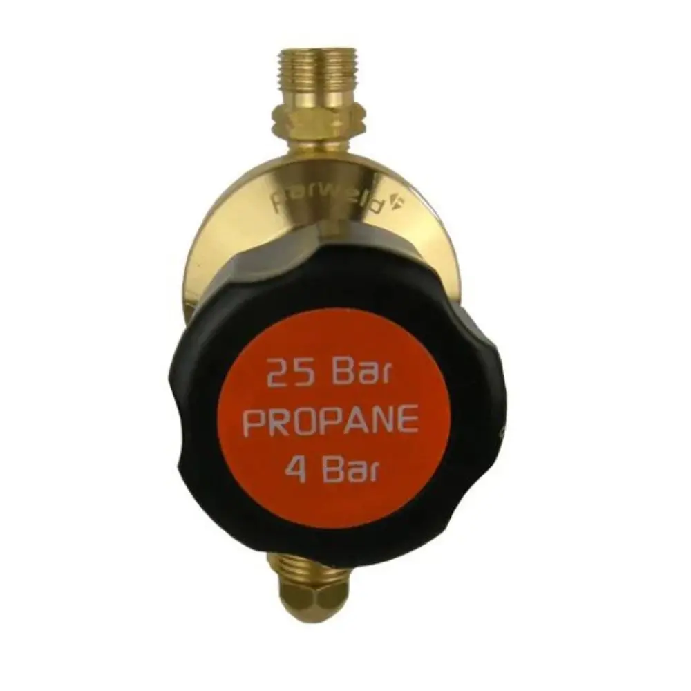 Propane  Regulator Plugged 1