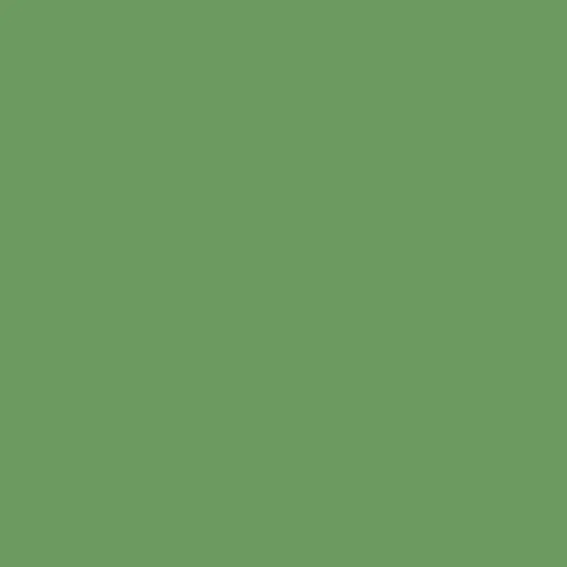 Farrow & Ball Carte Blanche Paint Sample Swatch - Raw Tomatillo 1