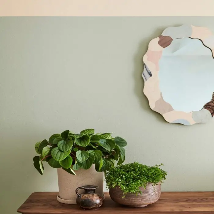 Little Greene - Tracery Ii (78) 2