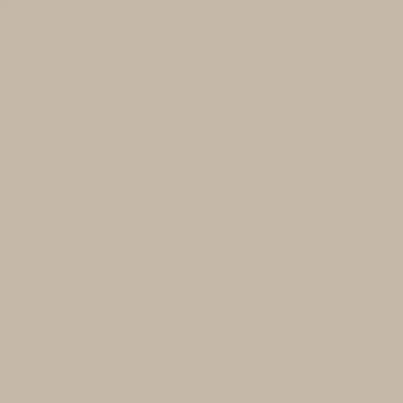 Farrow & Ball Carte Blanche Paint Sample Swatch - Roasted Macadamia 1