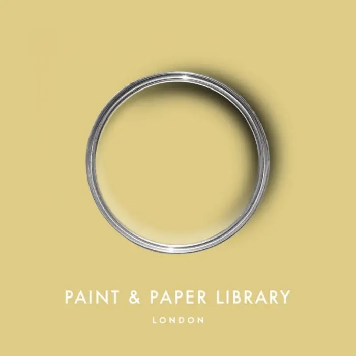 Paint & Paper Library - Scallion (519) 1