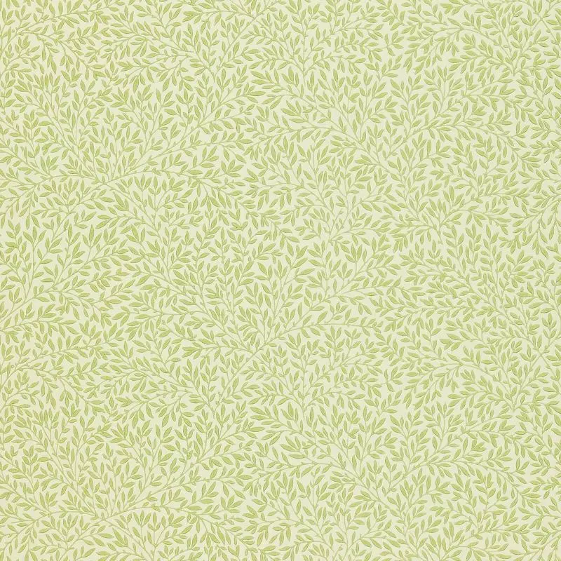 Morris & Co Standen Wallpaper - Fennel Sample 1