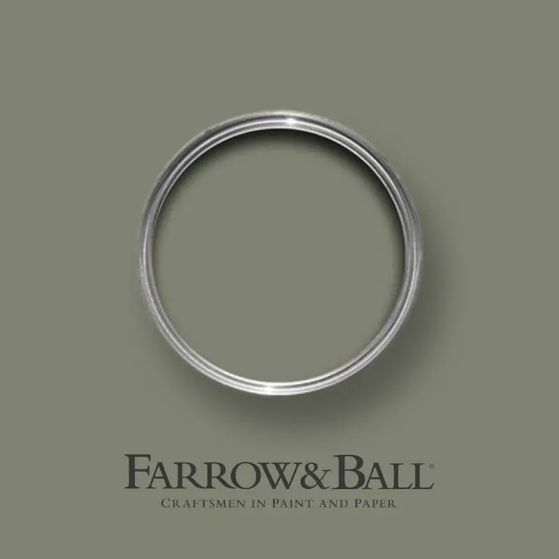 Farrow & Ball Treron No.292 1