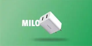 Vismac Milo Cg01 2.4A Dual Usb Wall Chargers With Micro Usb Cable 1