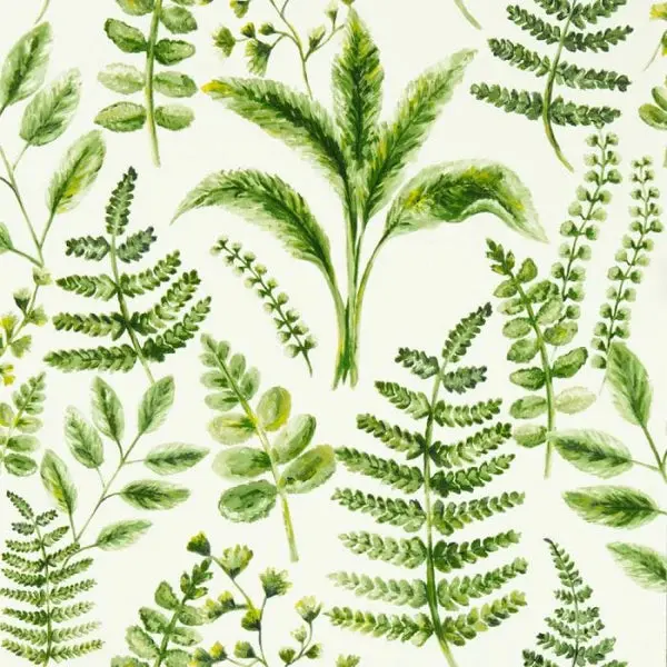 Clarke & Clarke Bracken Wallpaper- Forest Sample 1