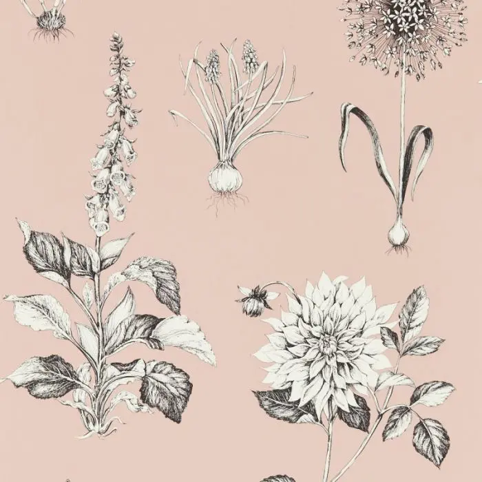 Clarke & Clarke Roseraie Wallpaper 1