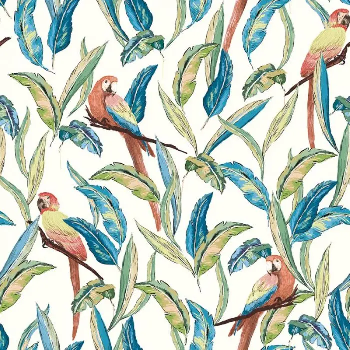 Ohpopsi Tropical Parrot Wallpaper 1