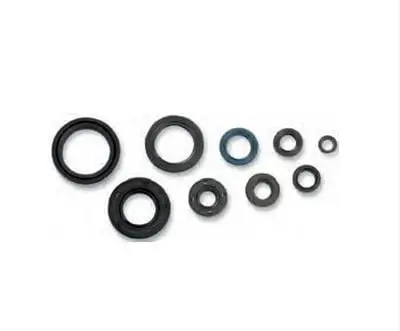 Cometic Powersport Oil Seal Kit - C3606Os 1