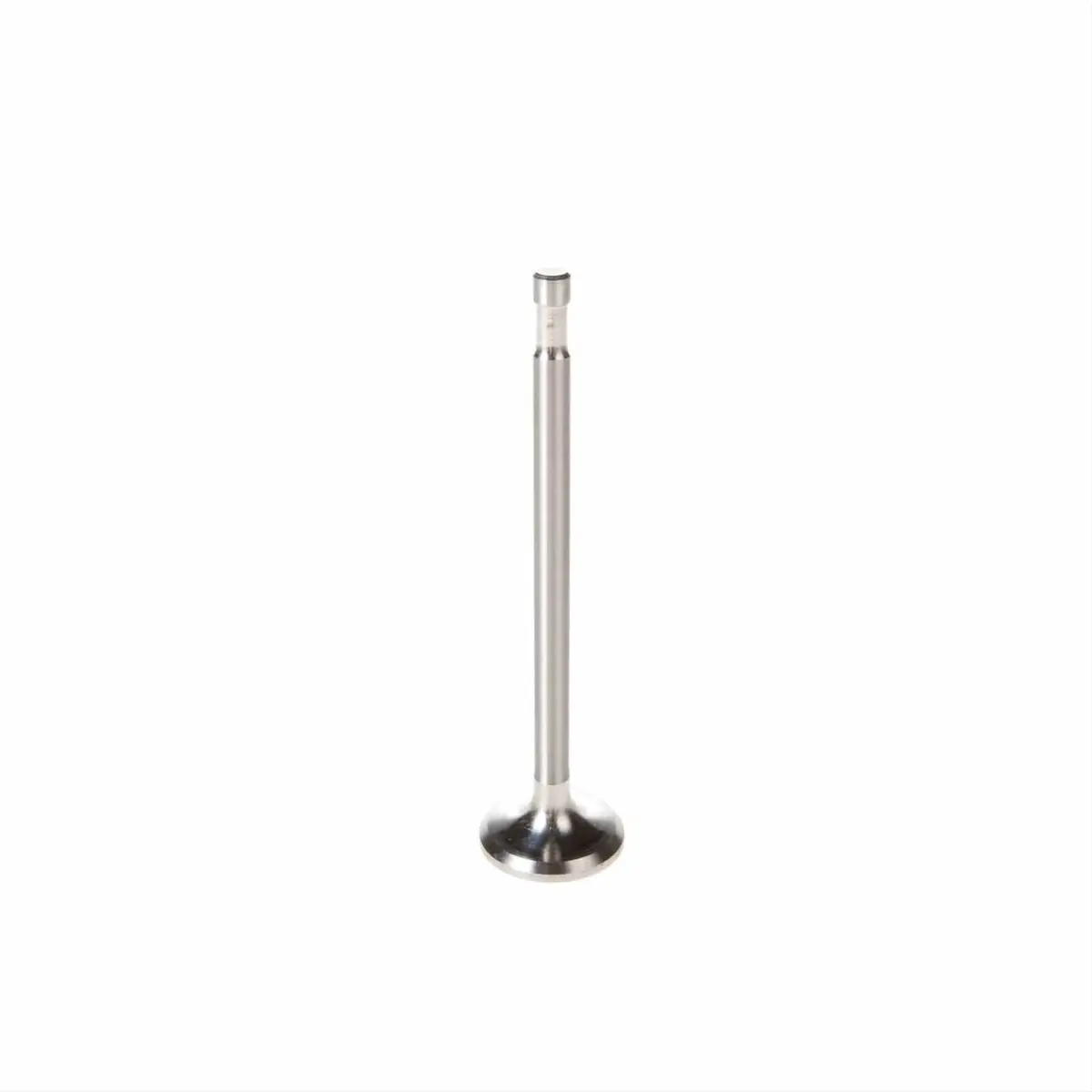 Melling V5081 High-Performance Valve Set – Stainless Steel 1